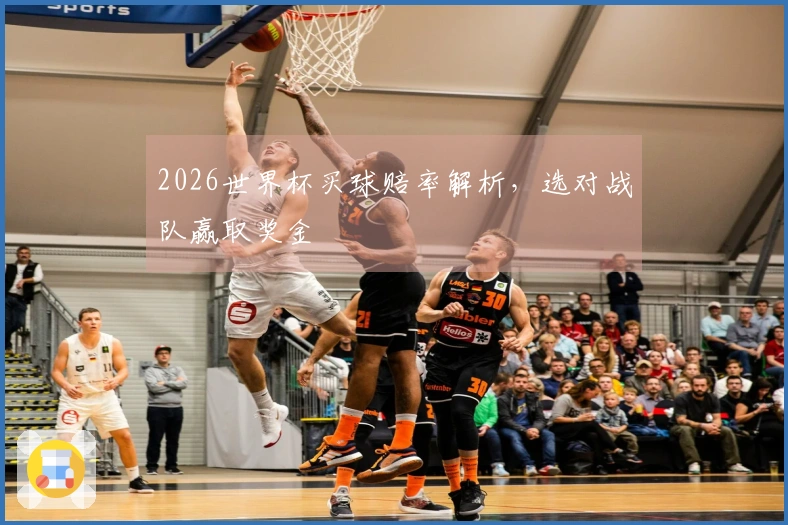 2026世界杯买球赔率解析，选对战队赢取奖金