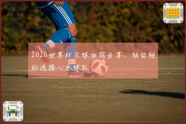 2026世界杯买球诀窍分享，助你轻松选择心水球队