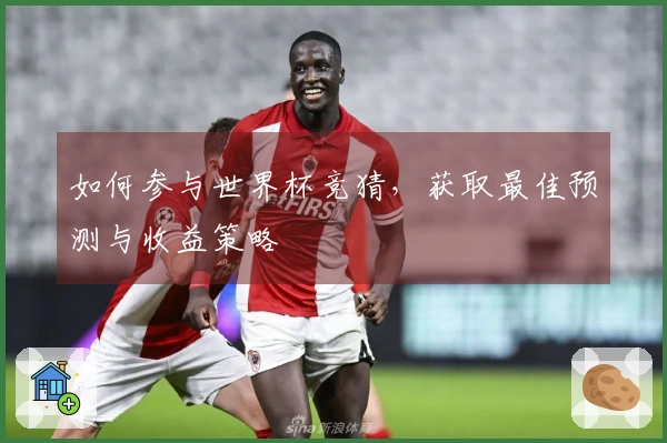 如何参与世界杯竞猜，获取最佳预测与收益策略