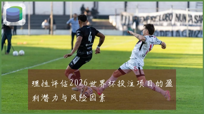 理性评估2026世界杯投注项目的盈利潜力与风险因素