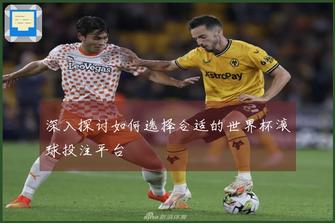 深入探讨如何选择合适的世界杯滚球投注平台