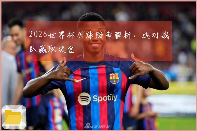 2026世界杯买球赔率解析，选对战队赢取奖金