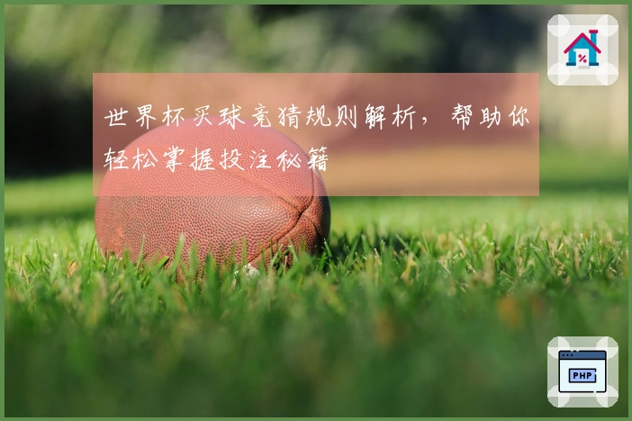 世界杯买球竞猜规则解析，帮助你轻松掌握投注秘籍
